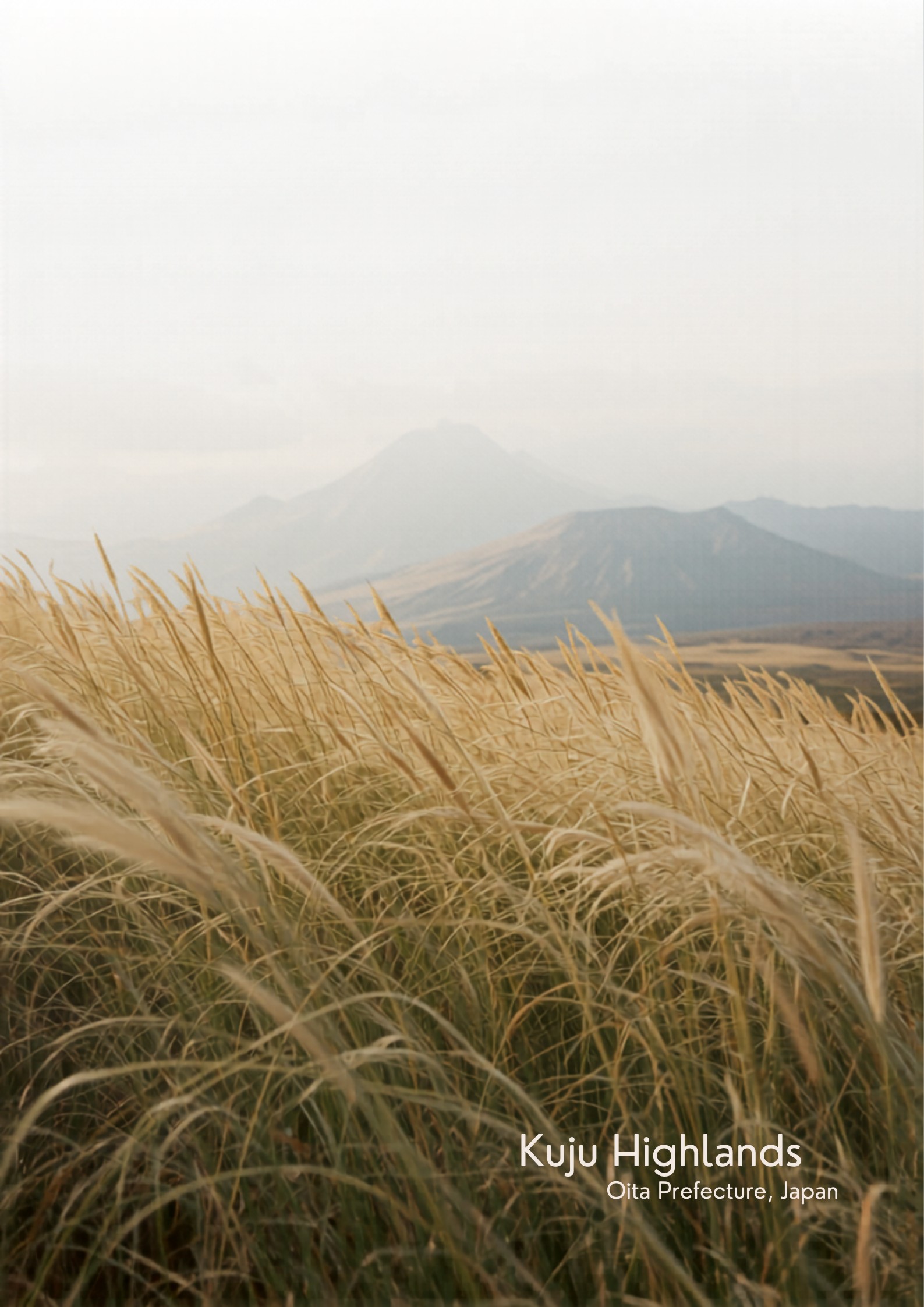 九重の山岳フィールド